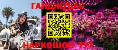 герыч Краснодар