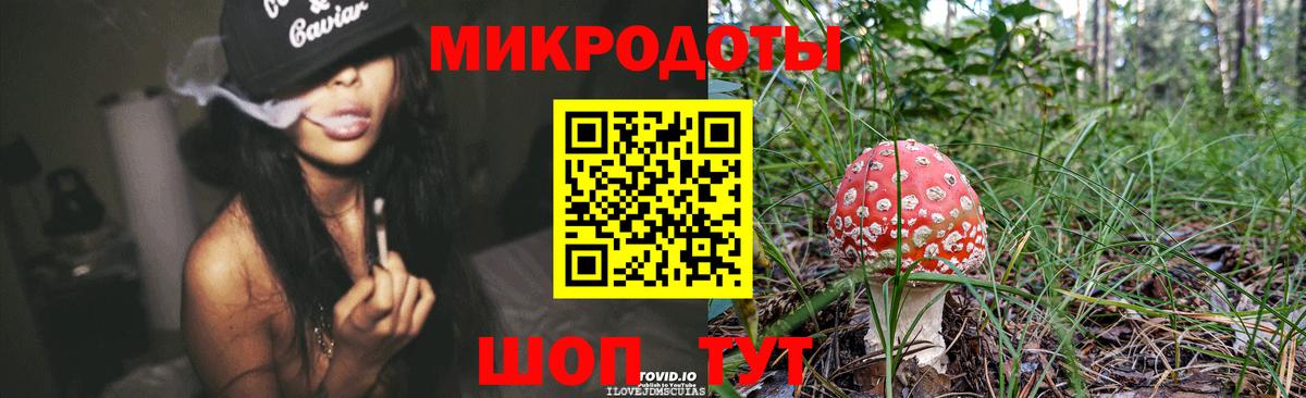 Галлюциногенные грибы Psilocybine cubensis  купить  цена  Камень-на-Оби  Вход с VPN 